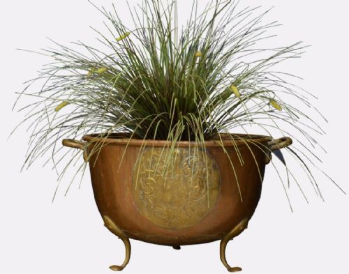 Large 19th Century Copper & Brass Pot
