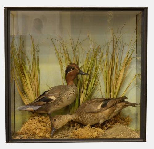 A Pair of Victorian Teal