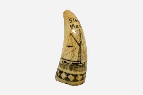 Scrimshaw of the Sloop Maria