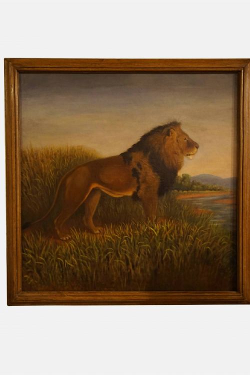 Portrait of a Lion