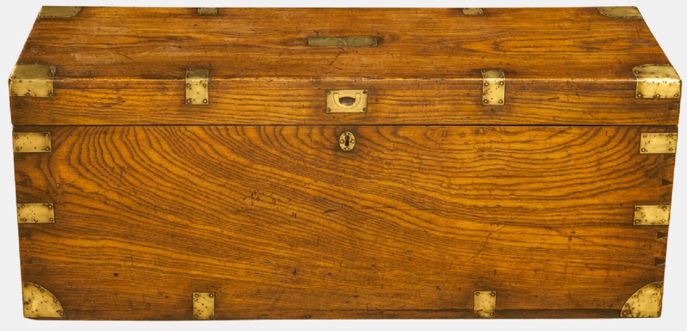 Brass Band Elm Trunk