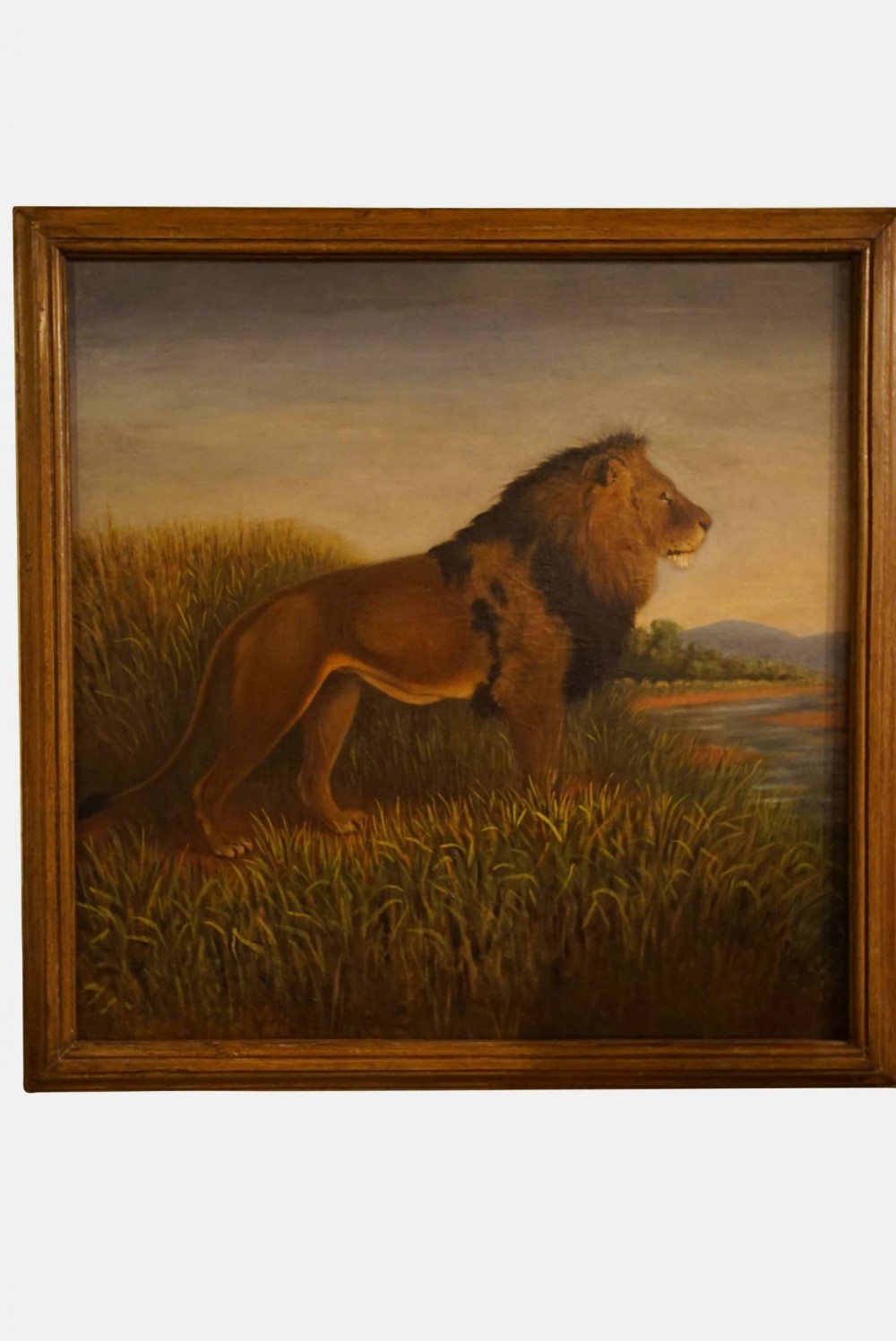 Portrait of a Lion