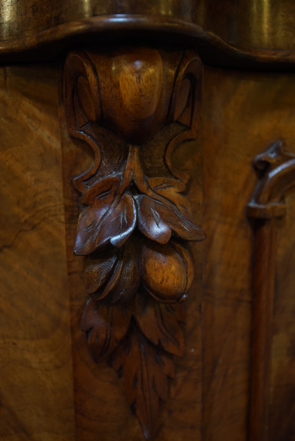 Victorian Figured Chiffonier View IV