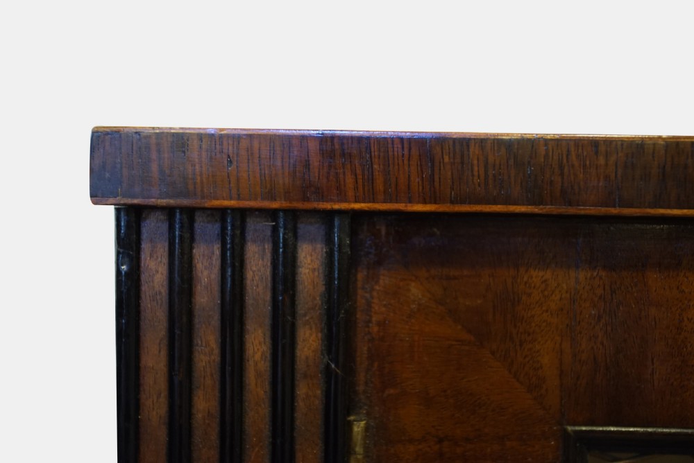 Regency Mahogany Side Cabinet View III