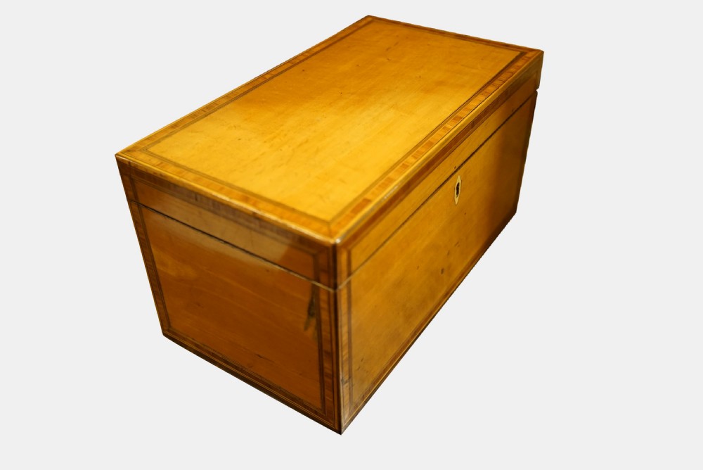 19thC Satinwood Tea Caddy View V
