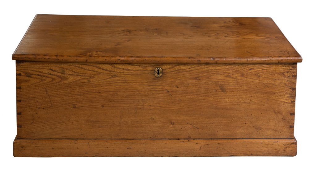 Golden elm trunk c1850 View II