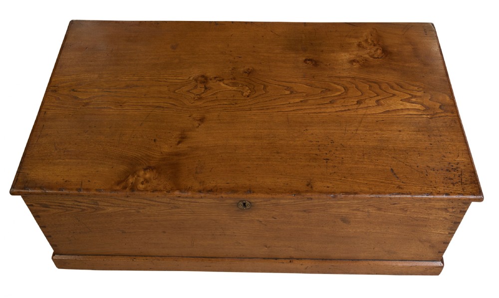 Golden elm trunk c1850 View III