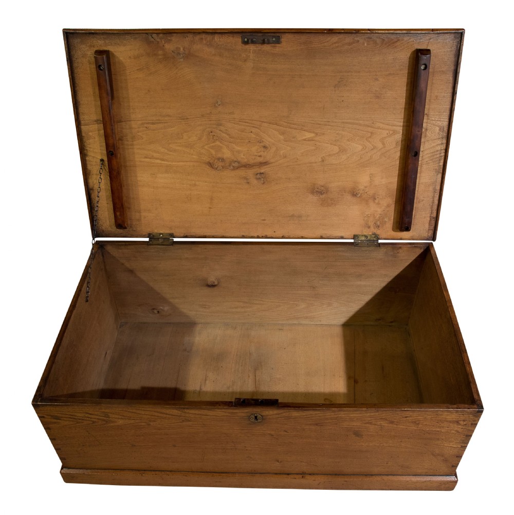Golden elm trunk c1850 View IV