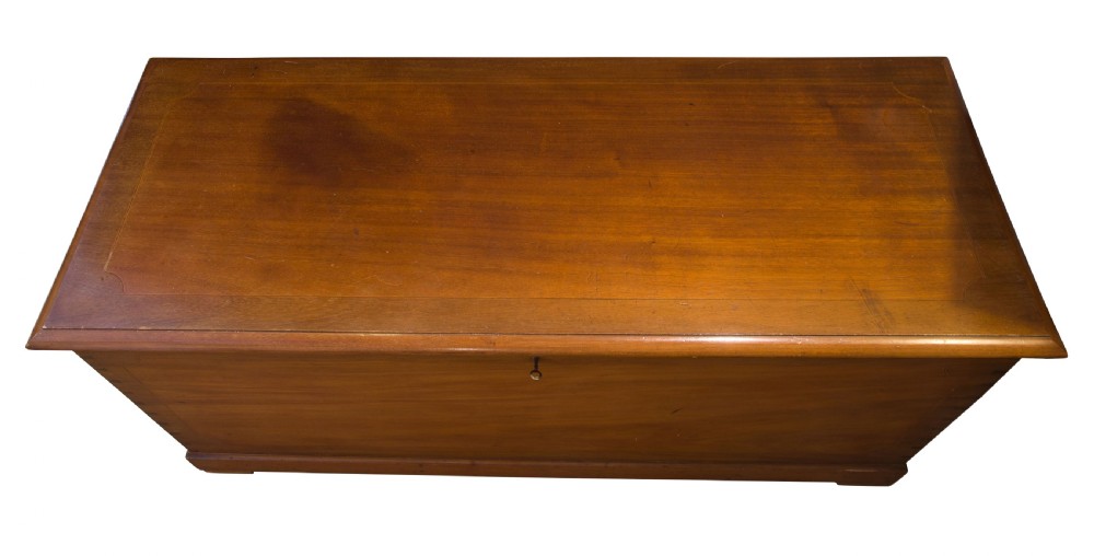 Late 19thCentury mahogany trunk View VI