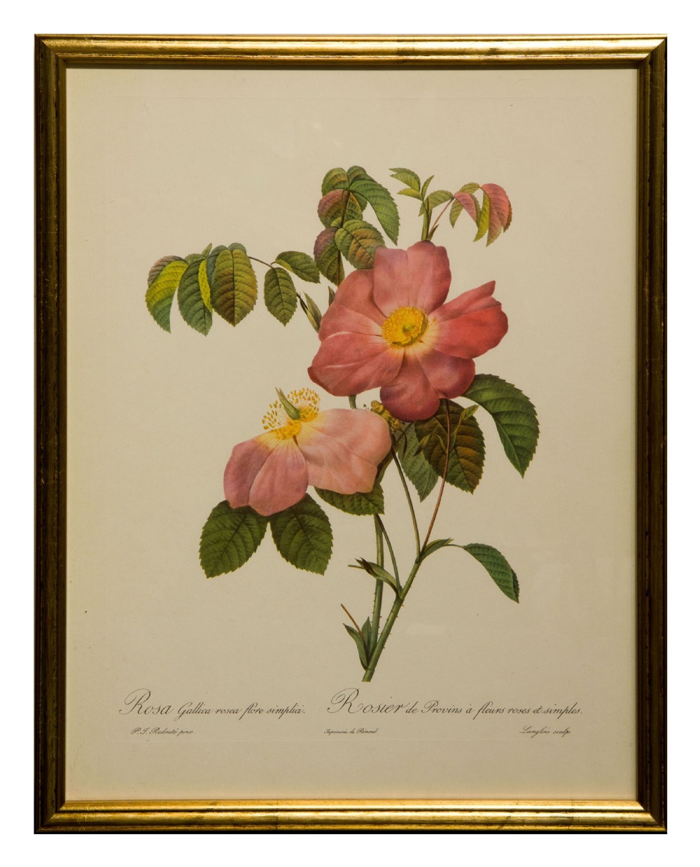 Set of 12 1950's rose lithographs in later gilt frames View II
