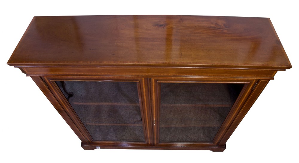 Edwardian Mahogany Bookcase View VI