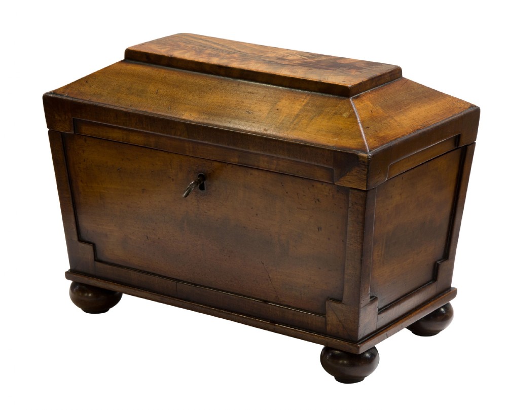 Regency Mahogany Sarcophagus Tea Caddy 