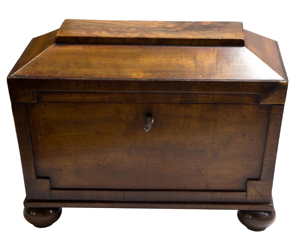 Regency Mahogany Sarcophagus Tea Caddy  View II