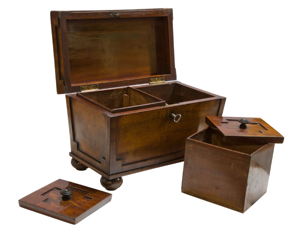 Regency Mahogany Sarcophagus Tea Caddy  View III