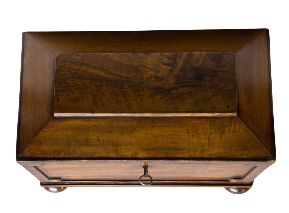 Regency Mahogany Sarcophagus Tea Caddy  View IV