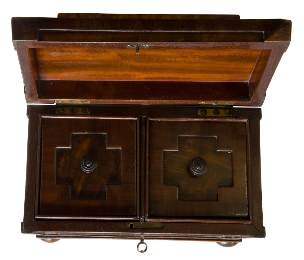 Regency Mahogany Sarcophagus Tea Caddy  View V