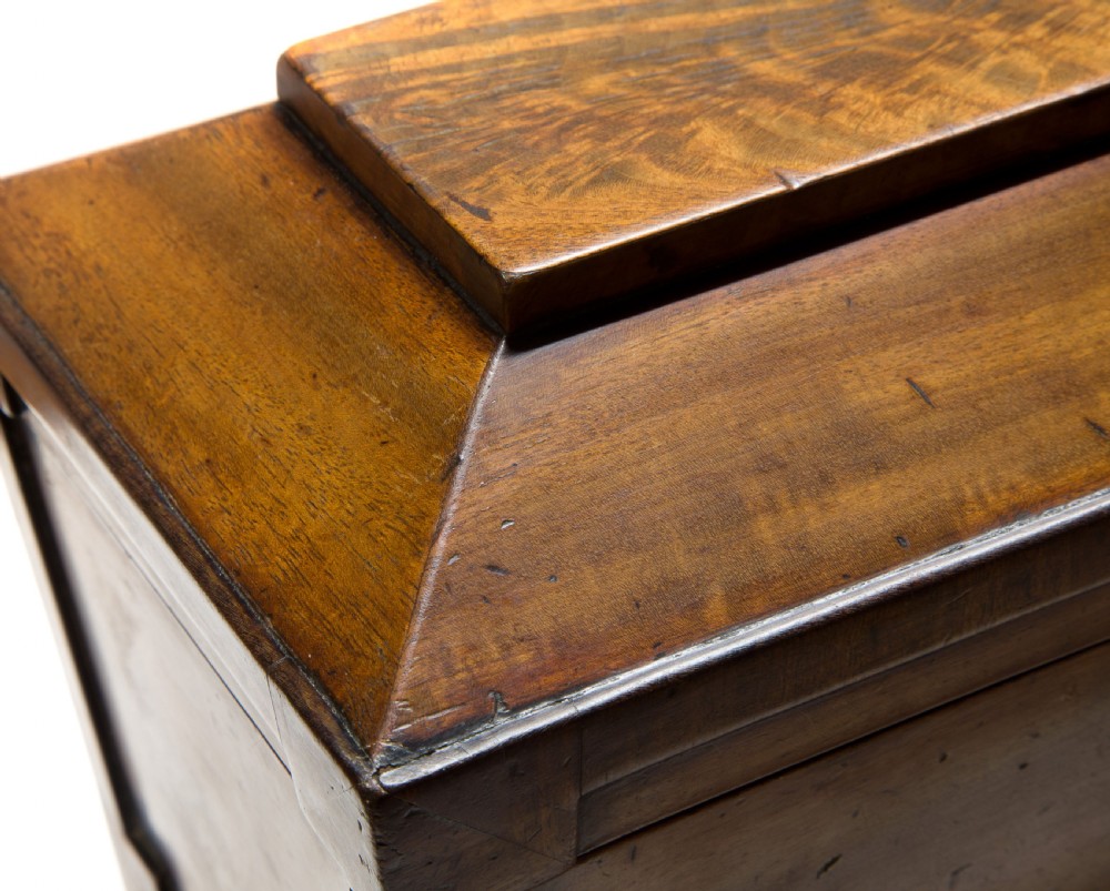 Regency Mahogany Sarcophagus Tea Caddy  View VII
