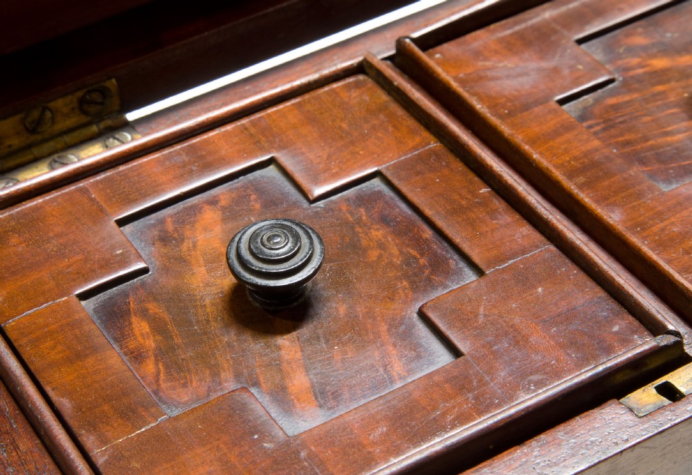 Regency Mahogany Sarcophagus Tea Caddy  View VIII
