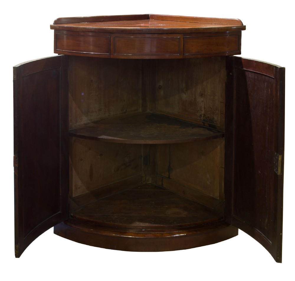 19thC Mahogany Standing Corner Cupboard View III