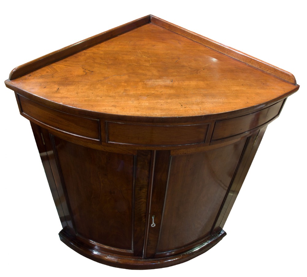 19thC Mahogany Standing Corner Cupboard View V
