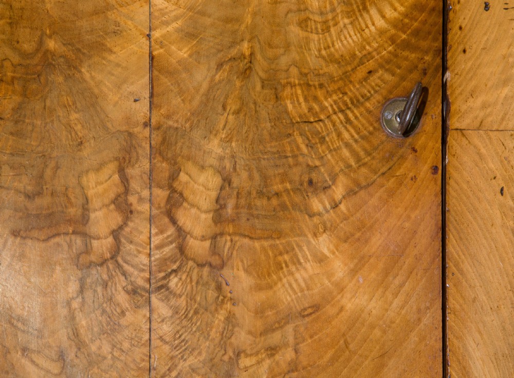 Mid Century French Walnut Cupboard View VII
