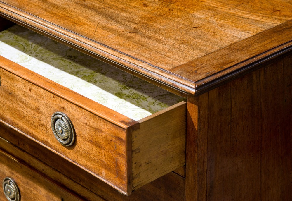 A Pretty Small early 19thCentury Mahogany Chest of Drawers View IV
