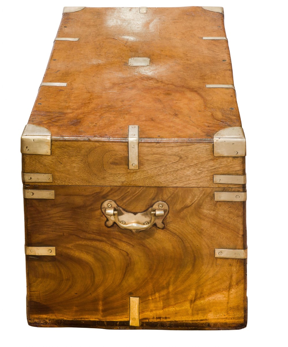 Brass mounted camphor trunk View II