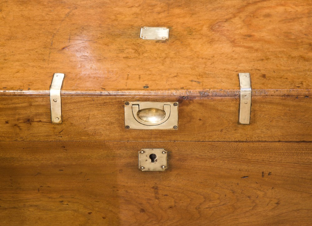 Brass mounted camphor trunk View VII