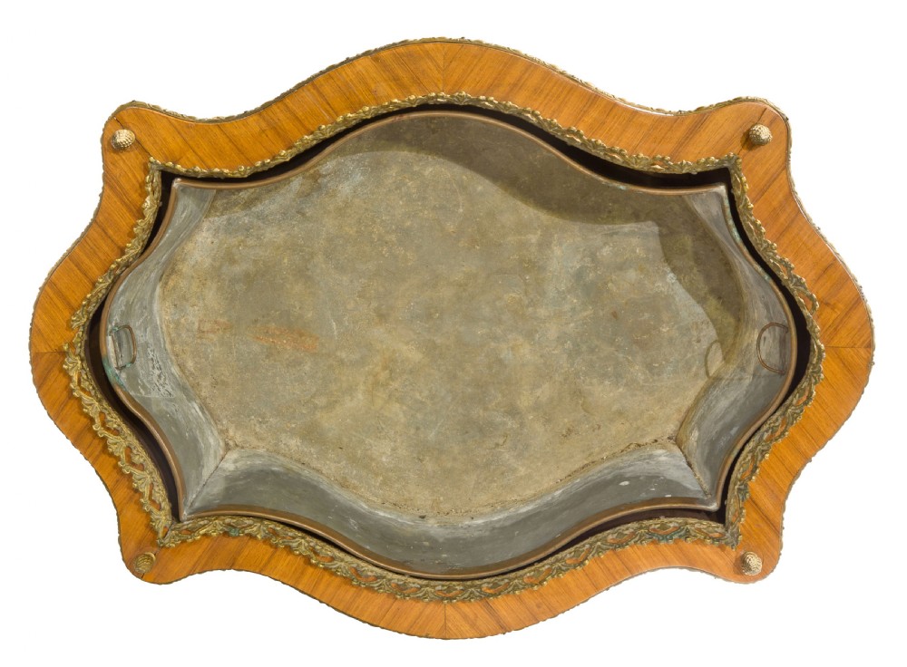 19thc French metal mounted jardiniere View IV