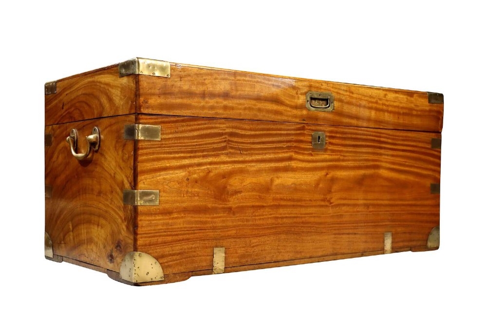 19th Century Camphor Wood and Brass-Bound Campaign Trunk, circa 1880