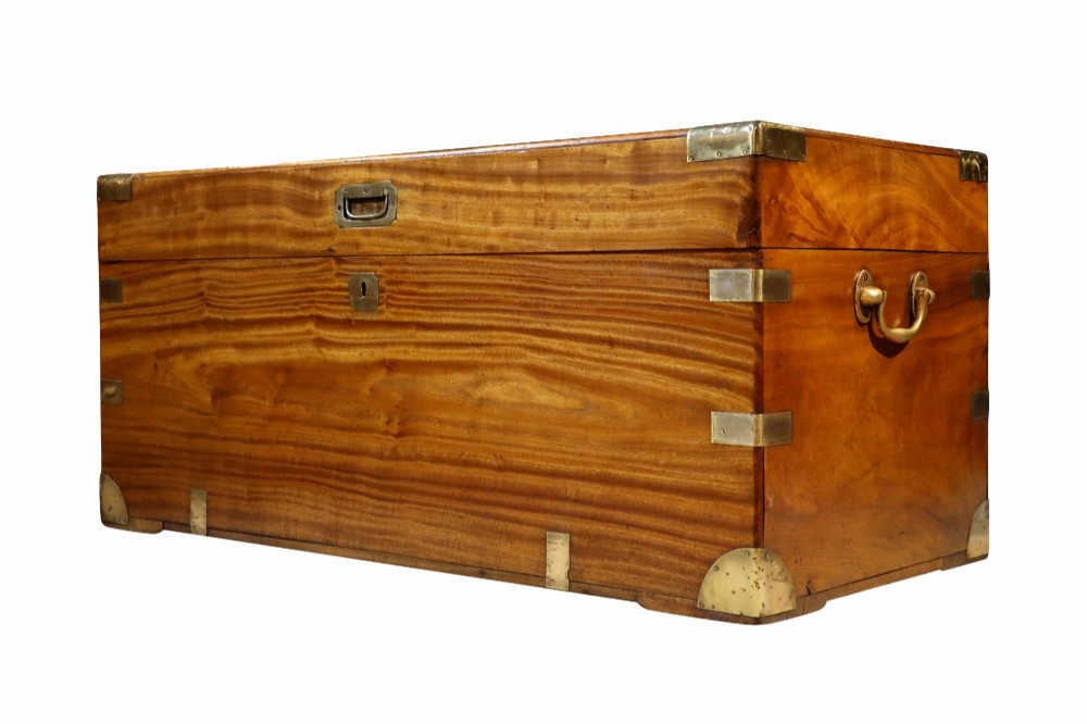 A nineteenth-century camphor wood campaign trunk featuring polished warm timber grain and protective brass corner plates and drop handles. View V