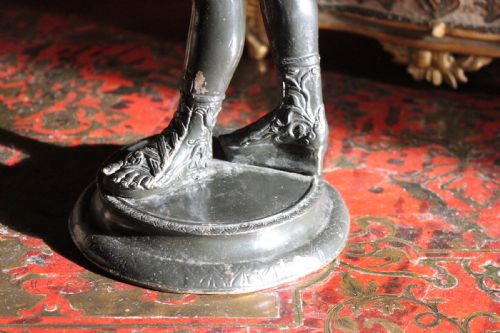 GRAND TOUR PATINATED BRONZE NARCISSUS - ADDITIONAL PHOTO 2