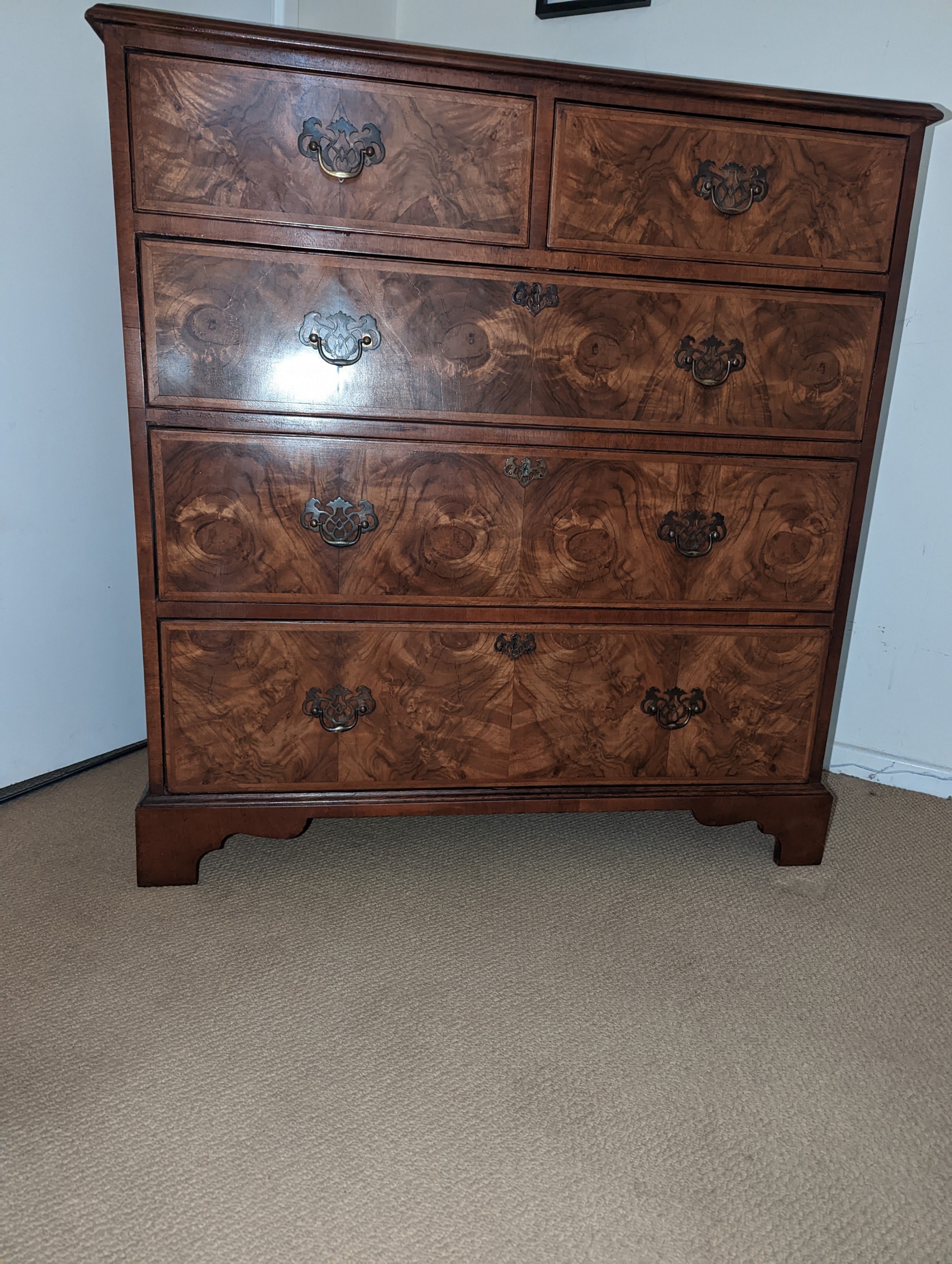 19th Century Burr-Walnut Chest of Drawers