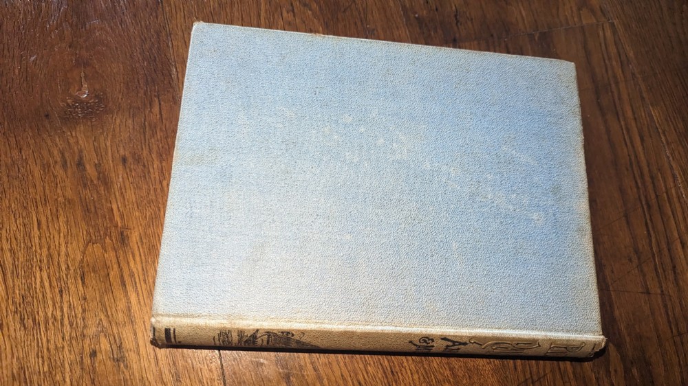 A Circa 1901 Book on Palestine View VI