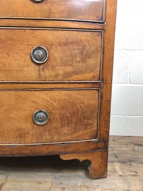 fig 2. 19th Century Mahogany Bow Front Chest of Drawers