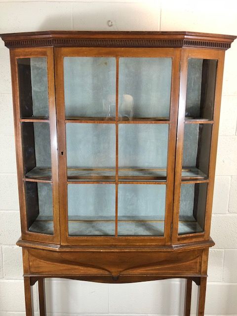 fig 2. Edwardian Inlaid Glass Display Cabinet
