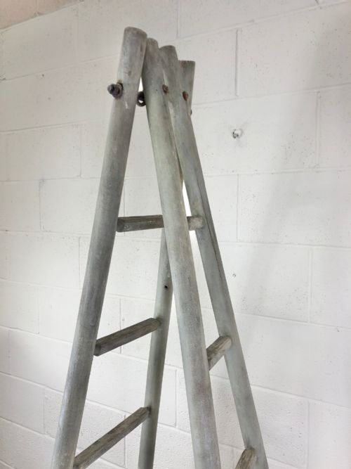 fig 1. Early 20th Century Fruit Picker’s Ladder