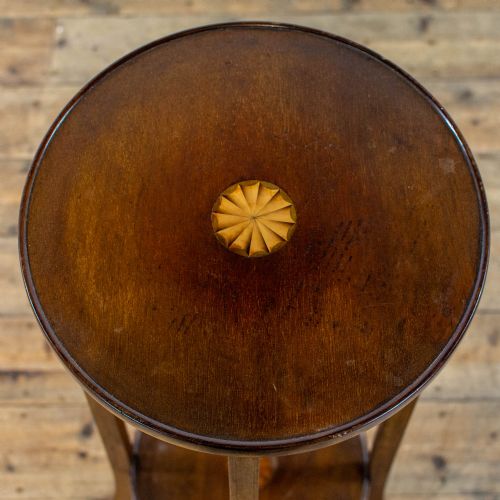 fig 2. Pair of Edwardian Mahogany Plant Stands