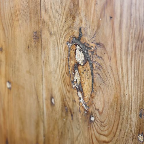 fig 2. Antique Victorian Pine Cupboard

