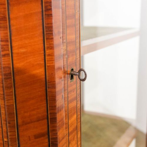 ANTIQUE INLAID KINGSWOOD DISPLAY CABINET - ADDITIONAL PHOTO 9