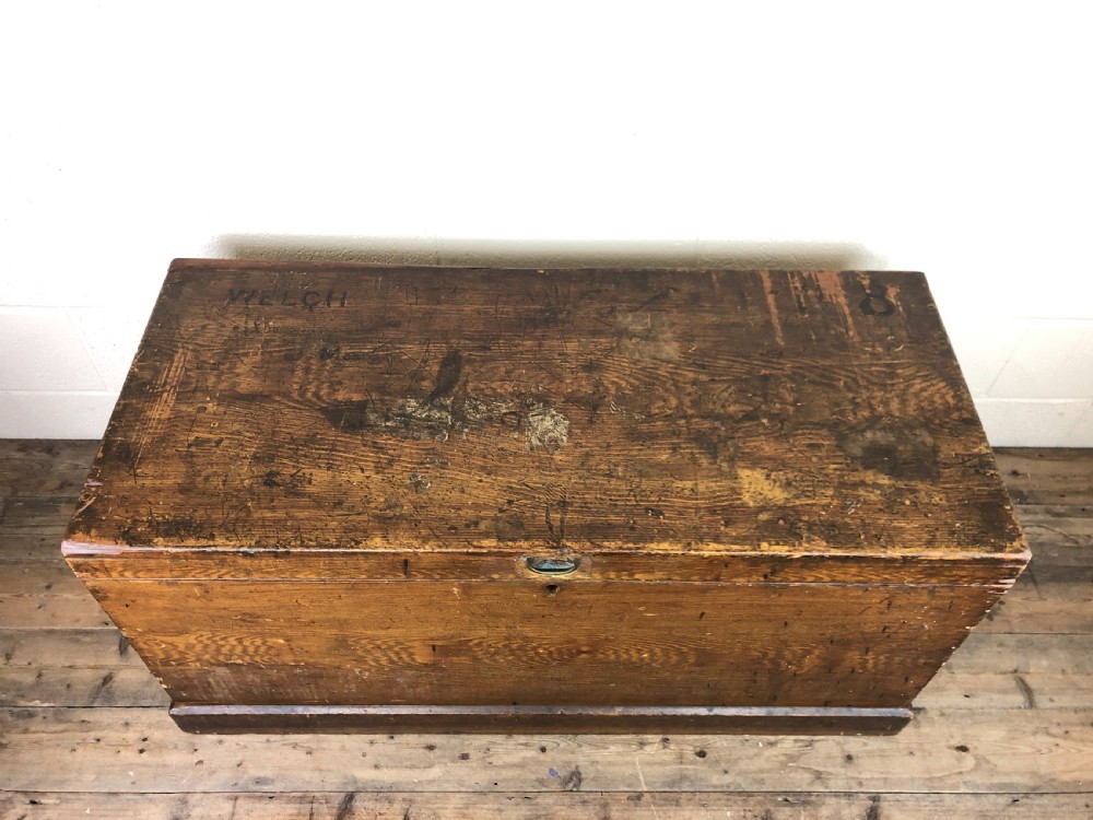 Antique Stained Pine Welch British Army Trunk  View III
