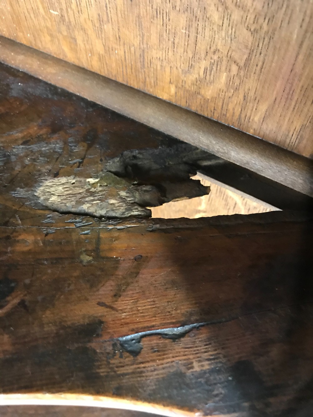 Antique 19th Century Oak Corner Cupboard View X