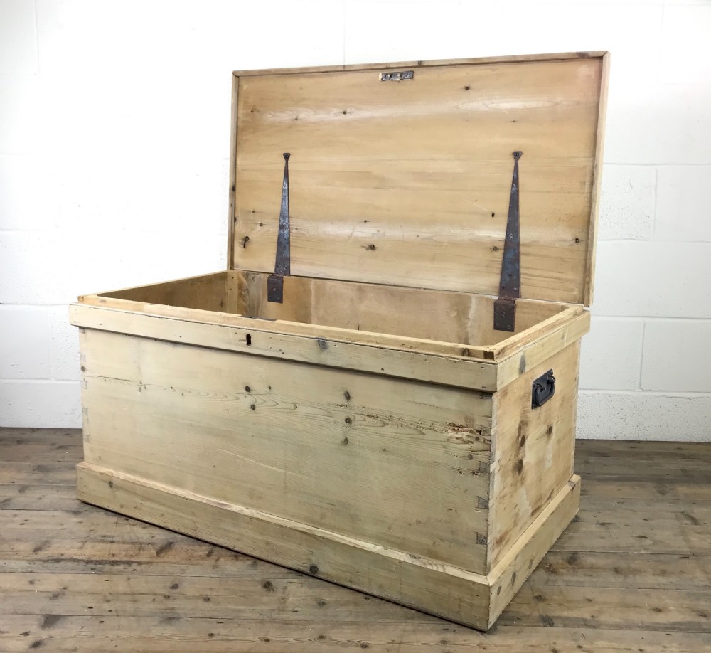 Victorian Antique Pine Trunk View IX