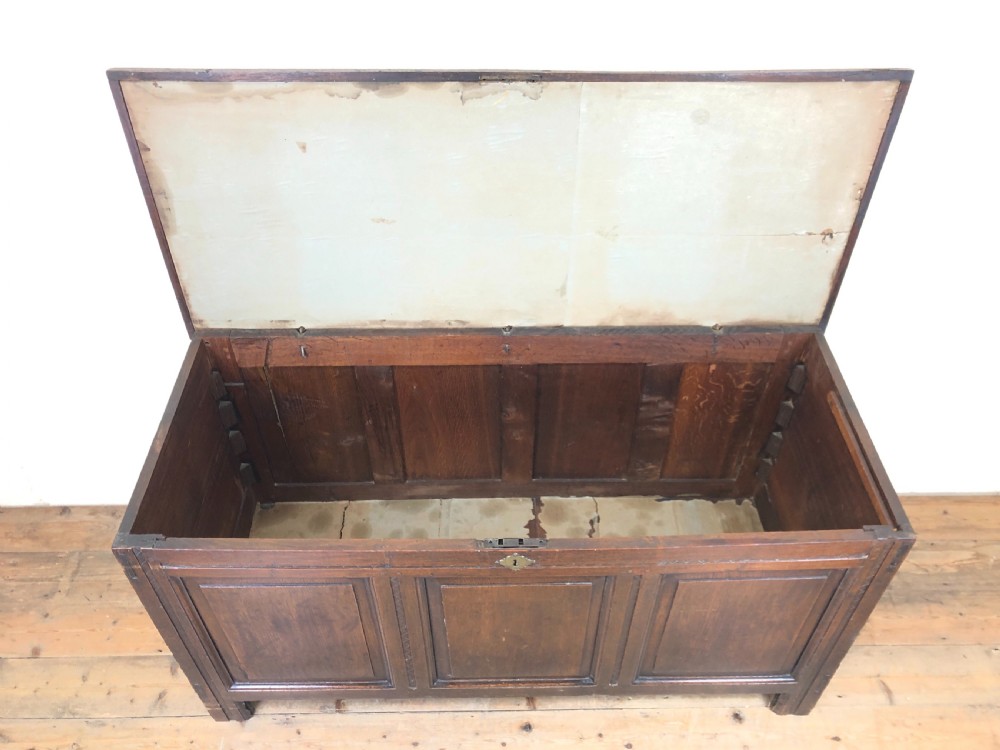 Antique 18th Century Oak Coffer with Panel Front View IV