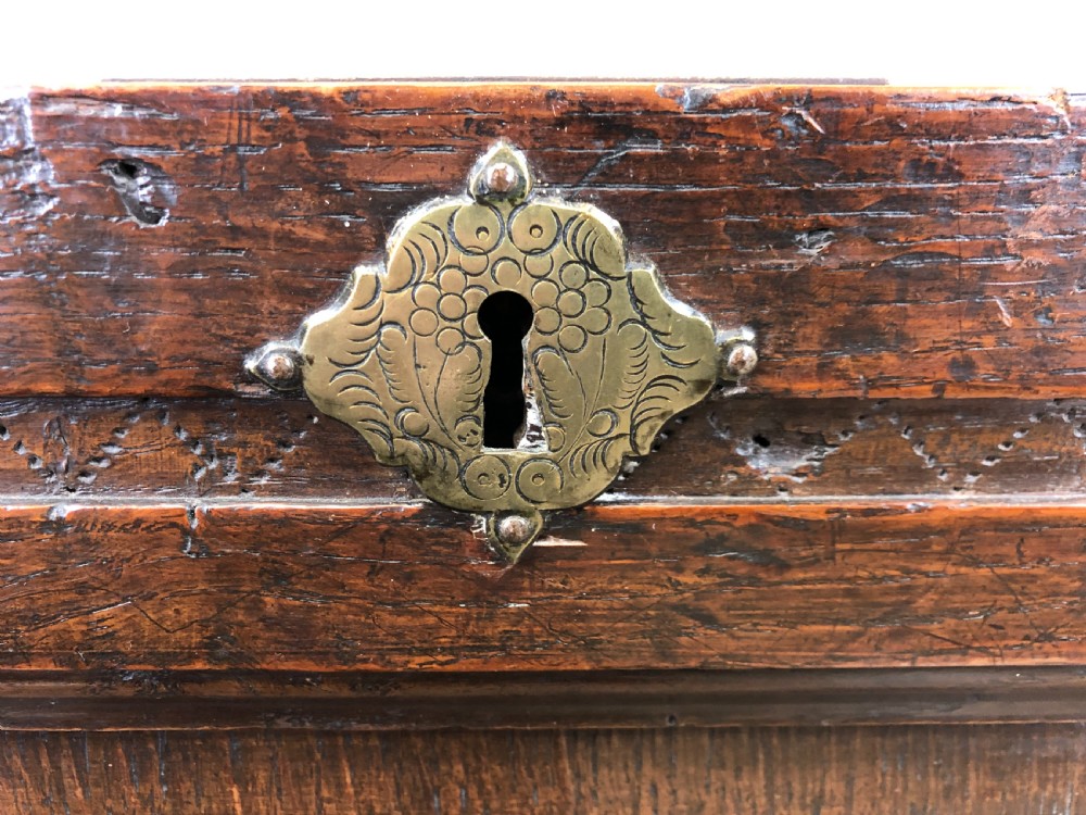 Antique 18th Century Oak Coffer with Panel Front View VII
