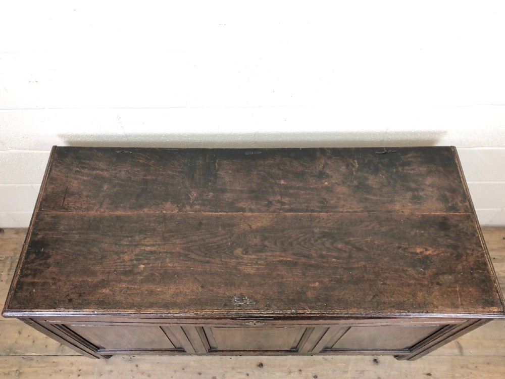 Antique 18th Century Oak Coffer with Panel Front View VIII