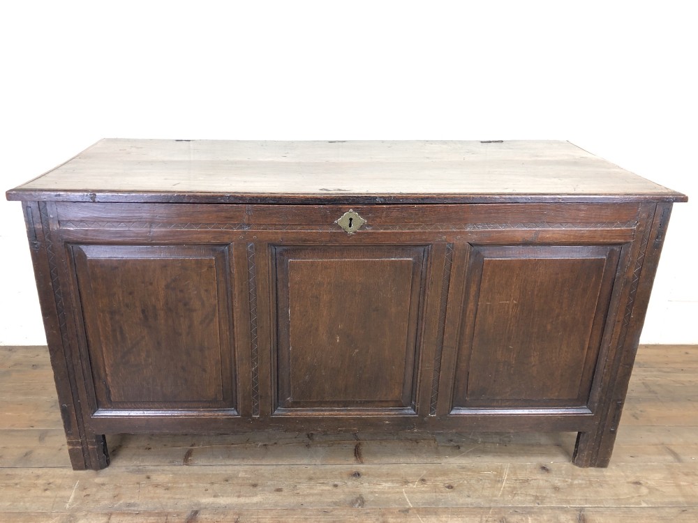 Antique 18th Century Oak Coffer with Panel Front