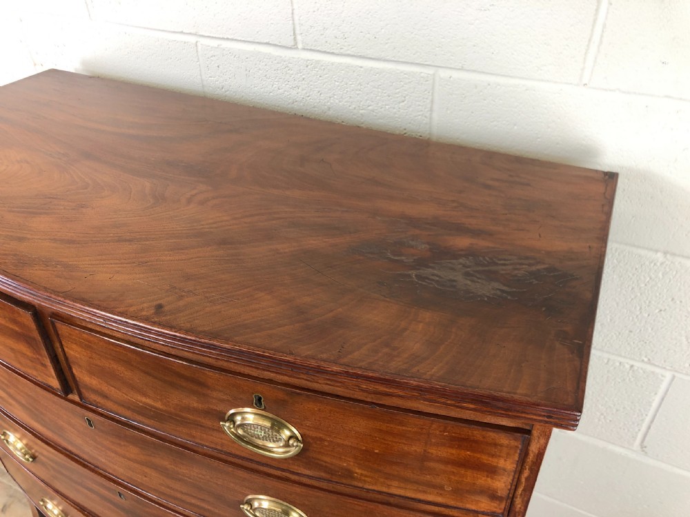 19th Century Mahogany Bow Front Chest of Drawers View XIV