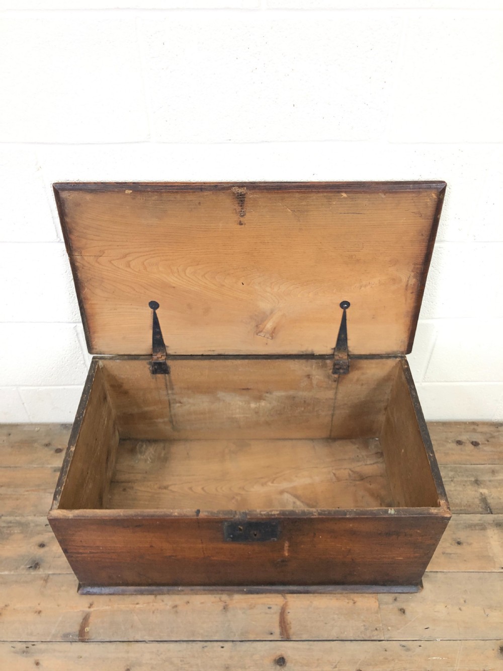 Antique Elm Trunk View III