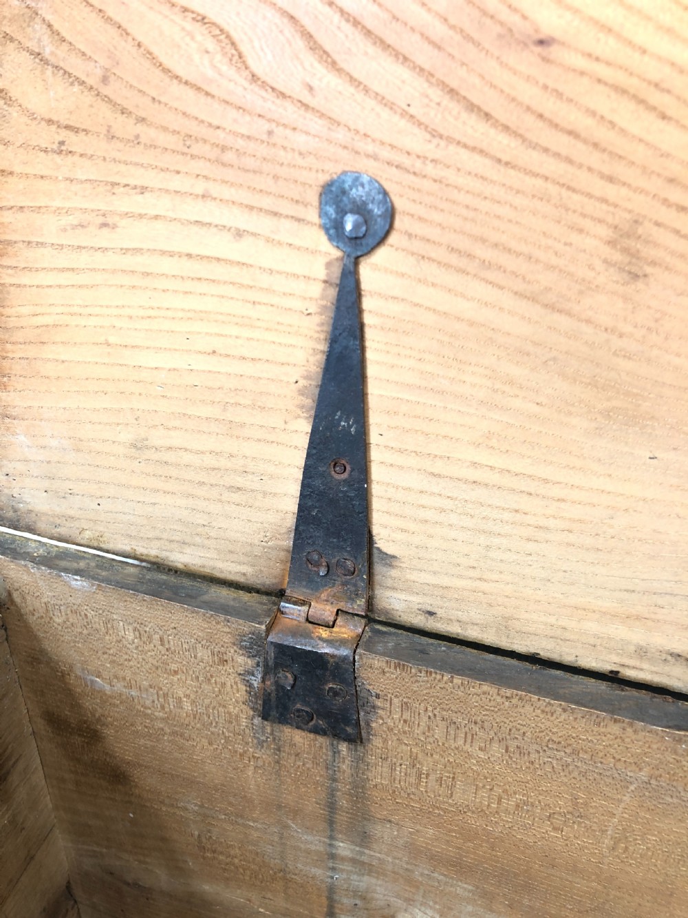 Antique Elm Trunk View IV